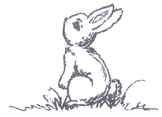 bunny.jpg (21344 bytes)