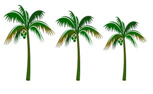 palmtrees.JPG (9220 bytes)
