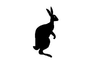 rabbit.jpg (5480 bytes)